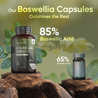 boswellia-serreta-caps-pl-3