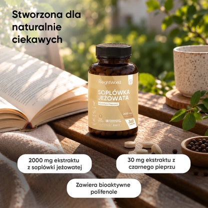 Wyciąg z Lion's mane 365 tabletek
