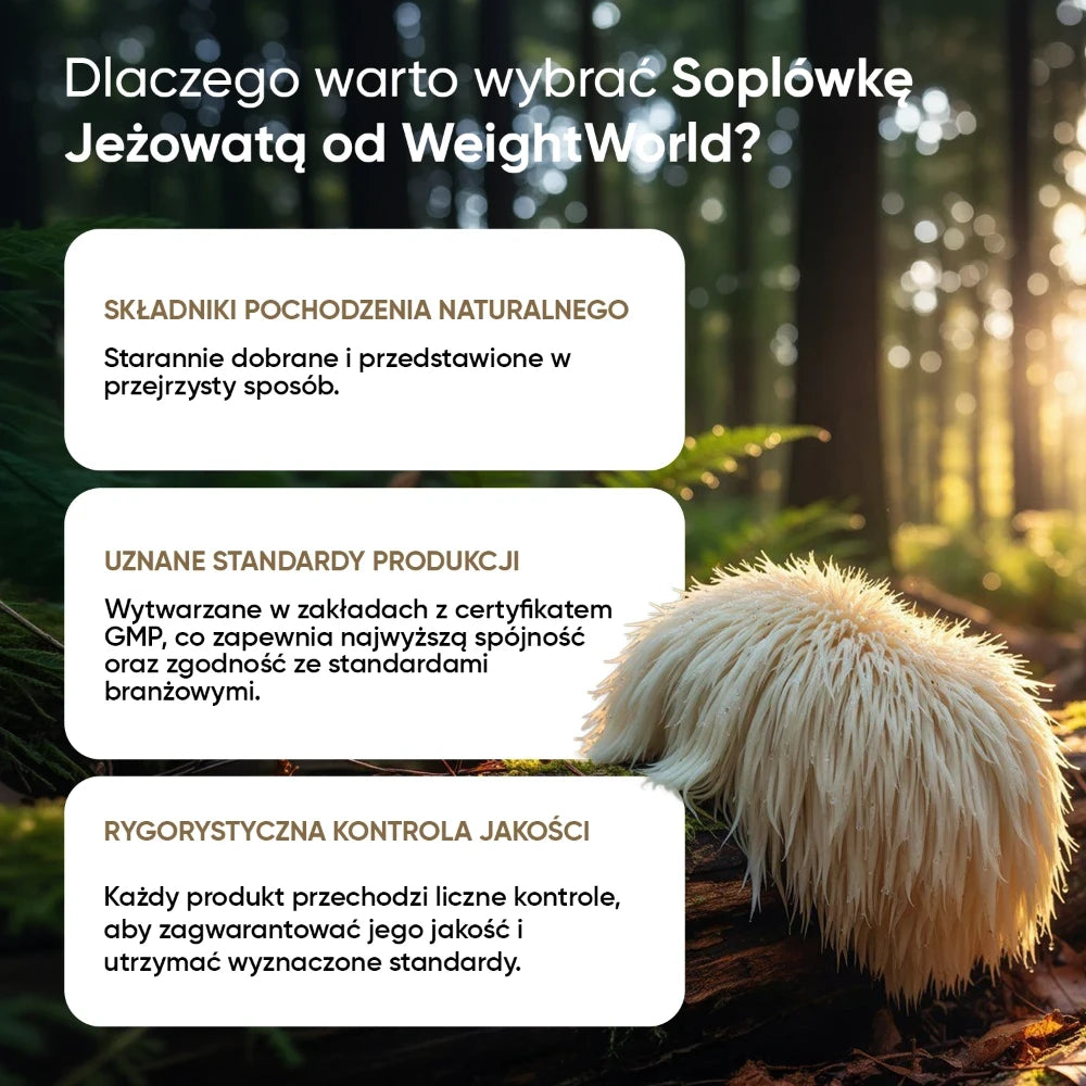 Sposób użycia tabletek Lion's mane