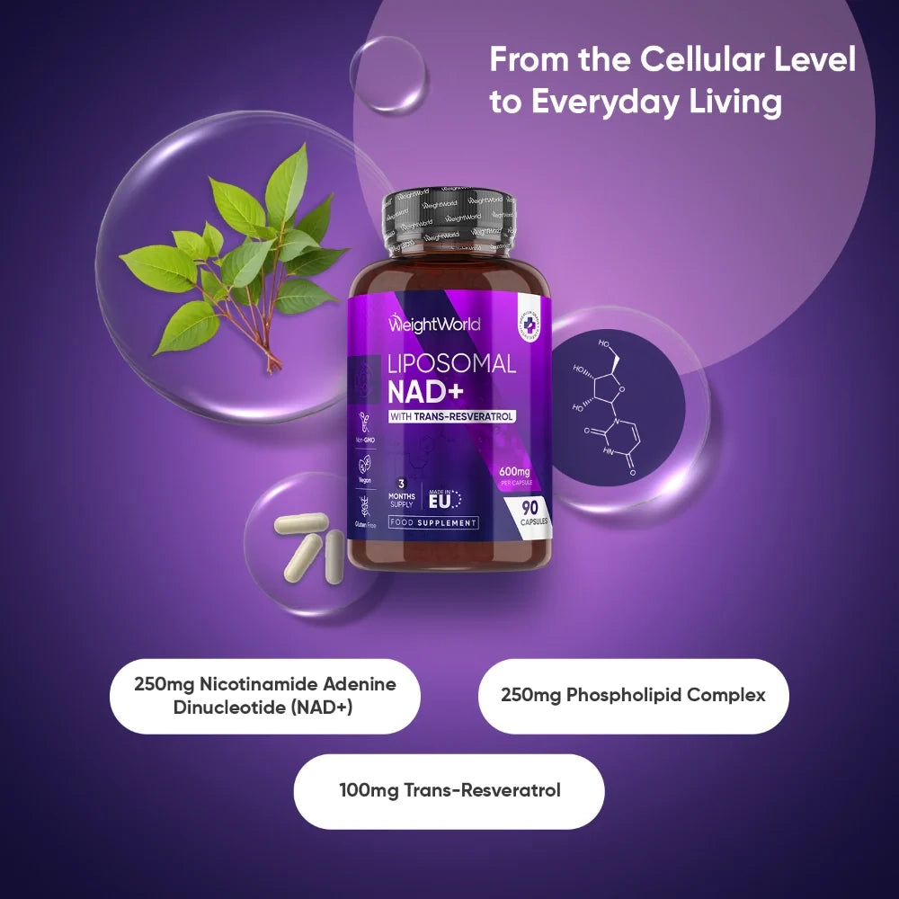 liposomal-nad-with-resveratrol-600mg-pl-2