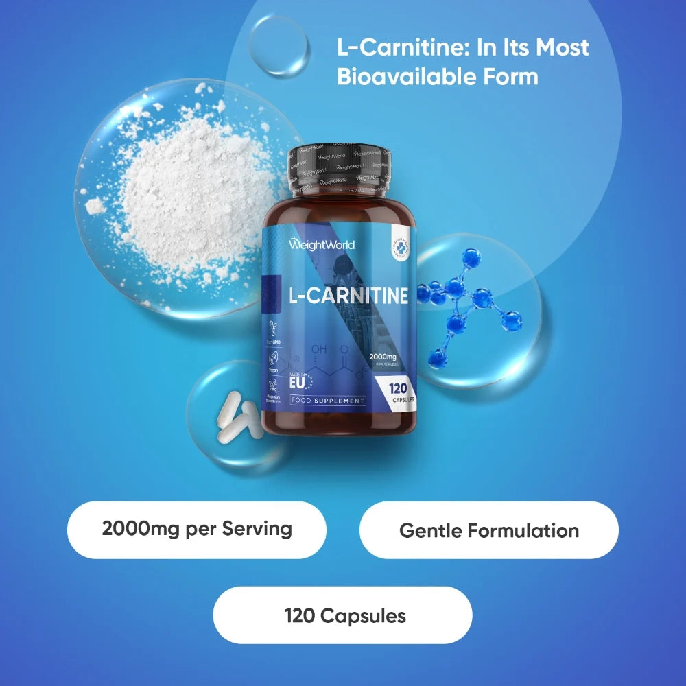 weightworld-pl-l-carnitine-cap-01